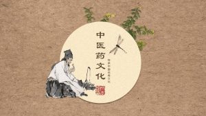 中医药文化